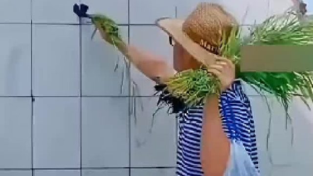意思是不要随地大小便