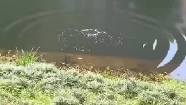她跑啥？