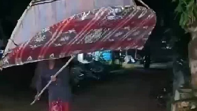 这是抓了个啥呀_ 看着像是花 为啥还会动呢_ 网友_这个网是真的牛逼啊