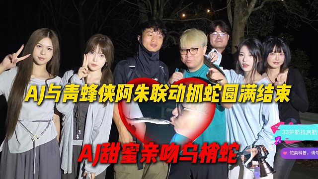 AJ和青蜂侠阿朱联动抓蛇圆满结束，AJ甜蜜轻吻乌梢蛇，胆子越来越大了