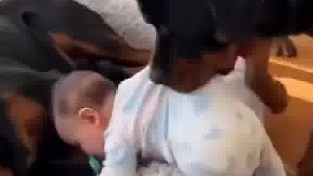 狗：看好你的仔