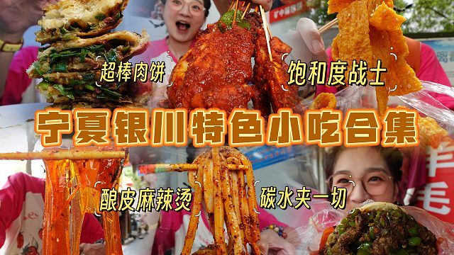 【逛吃银川】裹满辣糊的炸串！酿皮牛肉饼麻辣烫！七家小吃合集~