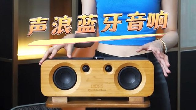 好声音真不贵，DOSS声浪原木音响