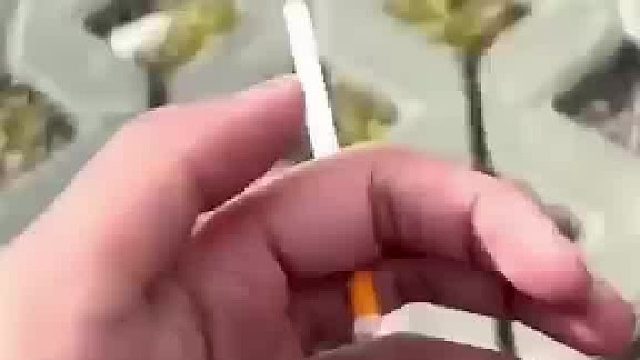 为什么要排队呀？