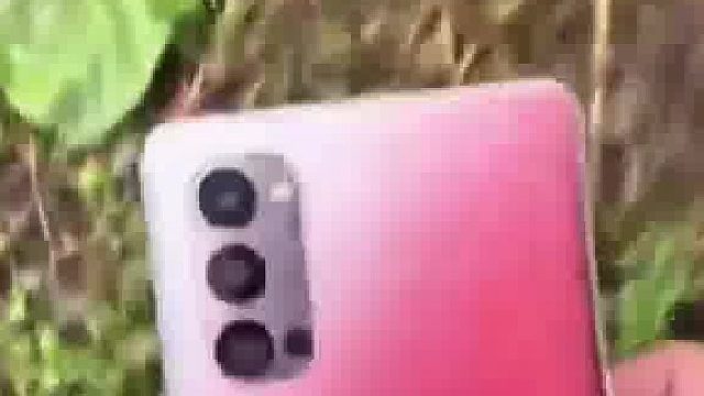 野外检到一部手机81手机是什么意思_网友：怎么扔了呢_