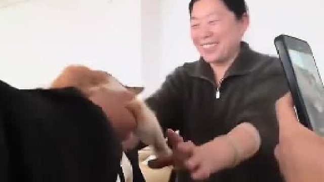 有的小猫一看就是团宠，老师接过去的时候笑得好开心​