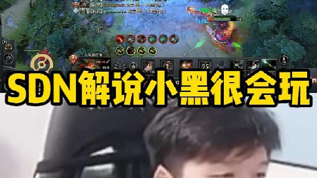 Sdn解说小黑很会玩