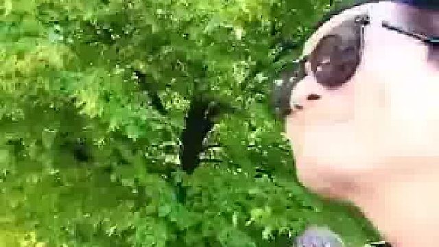 欧洲直饮水龙头暗藏玄机，男子亲身示范正确打开方式