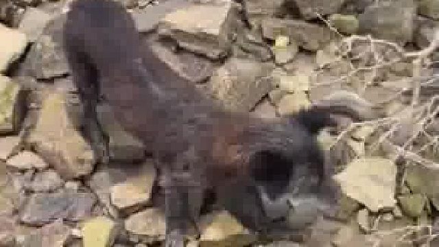 顽强的生命力，虽然艰难但是还是活下来了