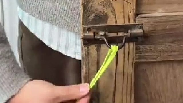 这回就算柯南来了，也得调监控吧