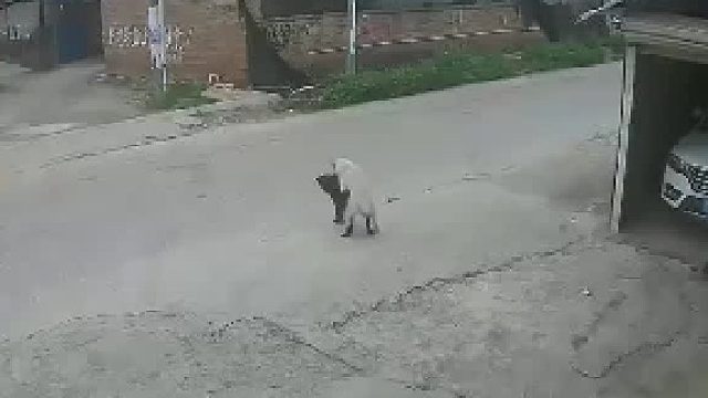 就不能在等30秒