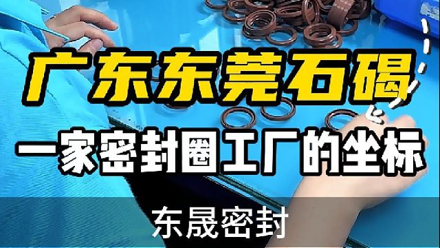 广东东莞石碣一家密封圈工厂的坐标