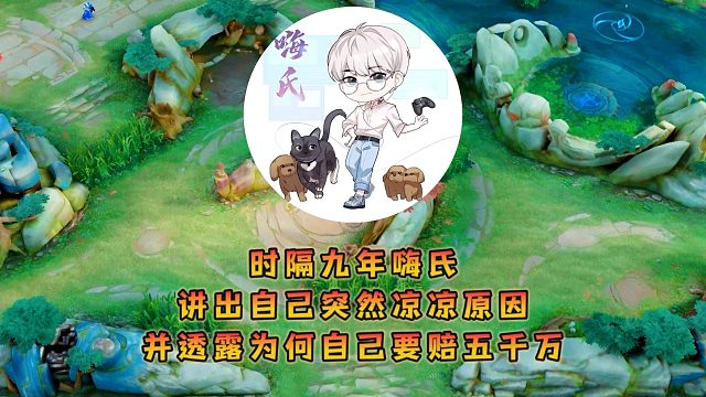 时隔九年嗨氏讲出自己突然凉凉原因，并透露为何自己要赔五千万