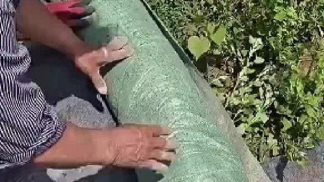 鱼塘使用水泥毯护坡，干的时候是毛毯用水浇透就变成水泥了，男子：质量好的都能用10年不坏