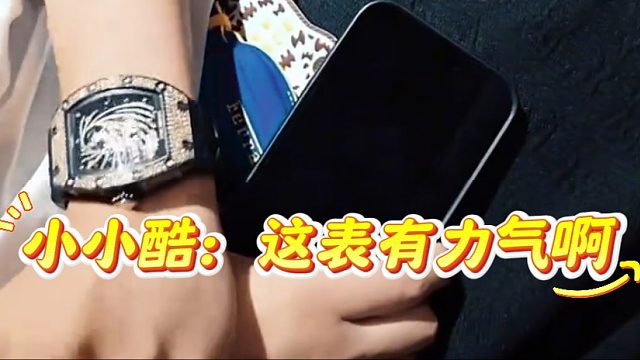 小小酷：这表有力气啊