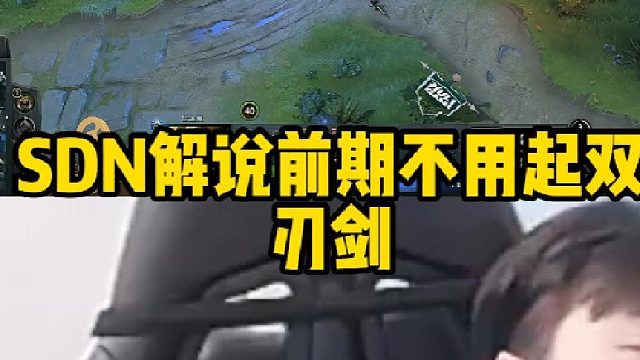 Sdn解说前期不用起双刃剑
