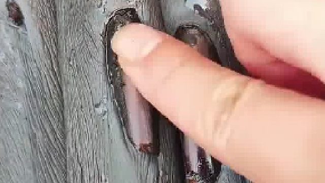 饲养员逗海狮玩，下一秒海狮的反应亮了