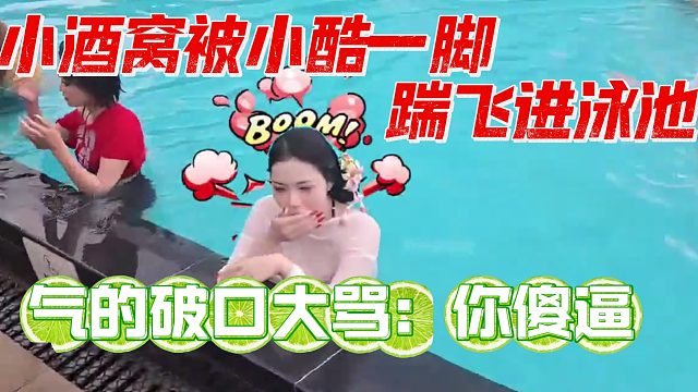 小酒窝被小酷一脚踹飞进泳池，气的破口大骂