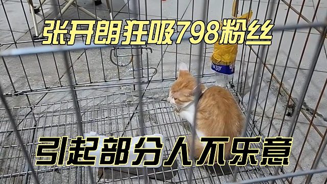 张开朗狂吸798粉丝，引起部分人不乐意