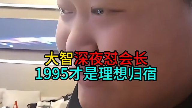 大智深夜怼会长：1995才是理想归宿