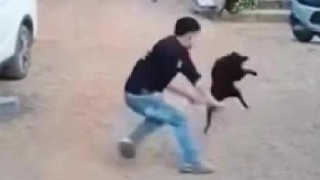 被狗咬伤，反杀恶狗，狗主人索赔10万，法院反判