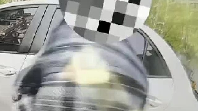 这绝对是故意的