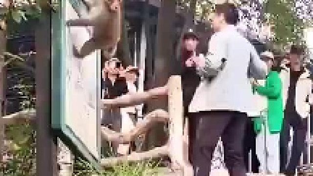 离谱又好笑