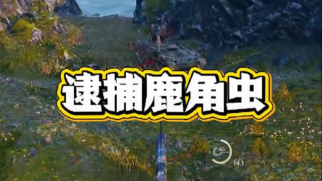 逮捕鹿角虫