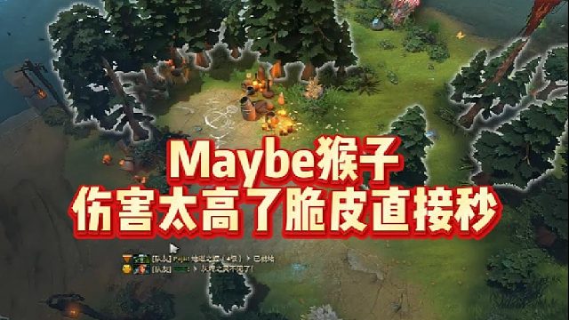 Maybe猴子，伤害太高了，脆皮直接秒