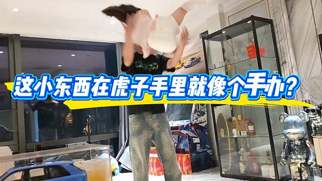 这小东西在虎子手里就像个手办？