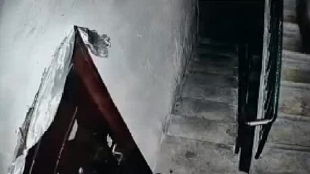藏马熊跑到局门路，太恐怖了