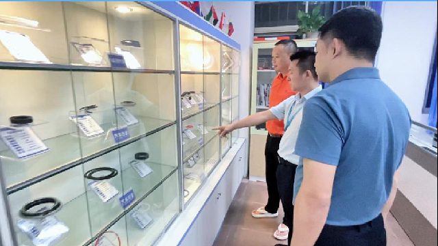 《东晟密封圈，突破困境的先锋》