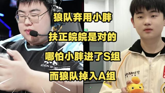 狼队弃用小胖，扶正皖皖是对的！哪怕小胖带领TTG进了S组，而狼队反倒掉入A组！