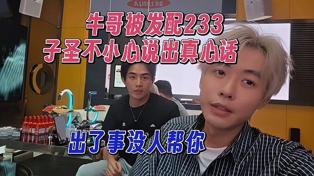 牛哥被发配233，子圣不小心说出真心话