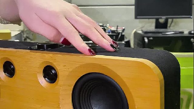 用过才懂什么是好声音！DOSS声浪原木音响