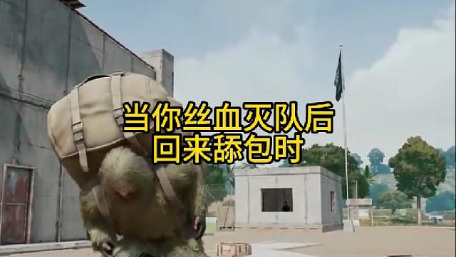 当你灭队后回来舔包！