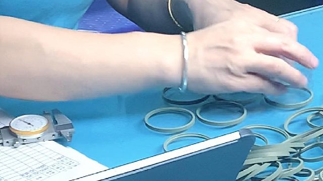 2年自动化老客户，高速密封圈全程进度汇报方案