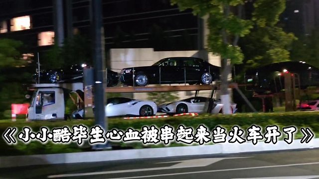 小小酷毕生心血被串起来当火车开了