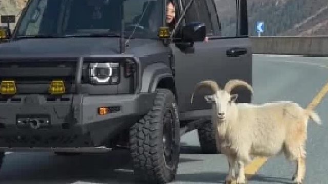 “吃瓜”看热闹 没想到自己也成了“瓜”