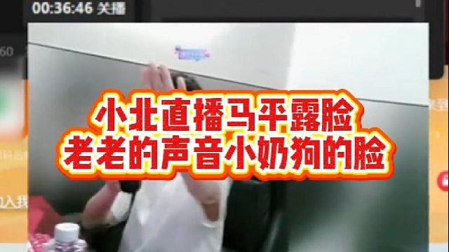 小北直播，马平露脸，老老的声音小奶狗的脸