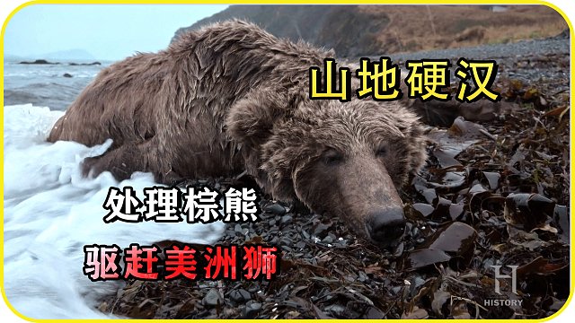 山地硬汉：处理棕熊，驱赶美洲狮 ，狩猎麋鹿