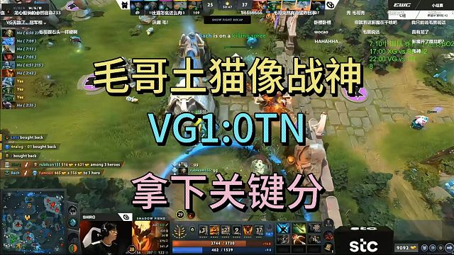 毛哥土猫像战胜，VG1:0TN，拿下关键分。