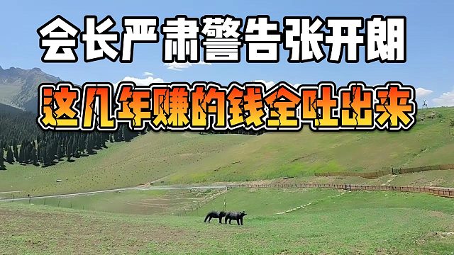 会长严肃警告张开朗，这几年赚的钱全吐出来