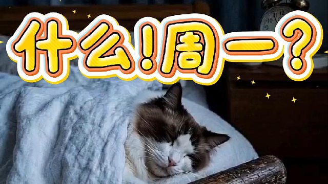 完了完了又迟到了
