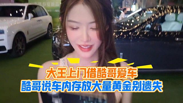 大王上门借酷哥爱车，酷哥说车内存放大量黄金别遗失