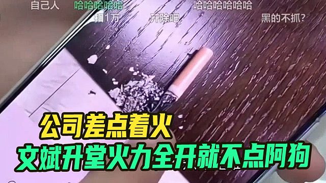 公司差点起火，文斌升堂火力全开就是不点阿狗
