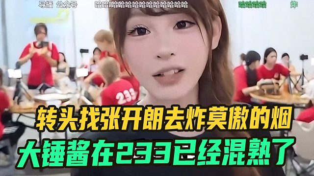 大锤酱在233团播已经混熟了，转头找张开朗去炸莫傲的烟