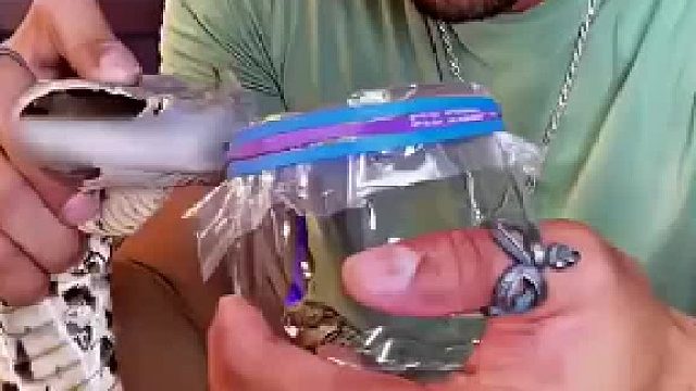 大哥抓毒蛇取毒液，被这操作看傻眼，稍不留神就丧命