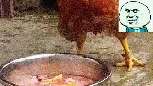 公鸡：我的同伴惨被剁鸡块，下次别再杀我了好吗？