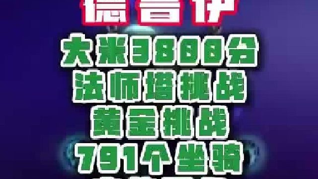 魔兽成品号~德鲁伊
